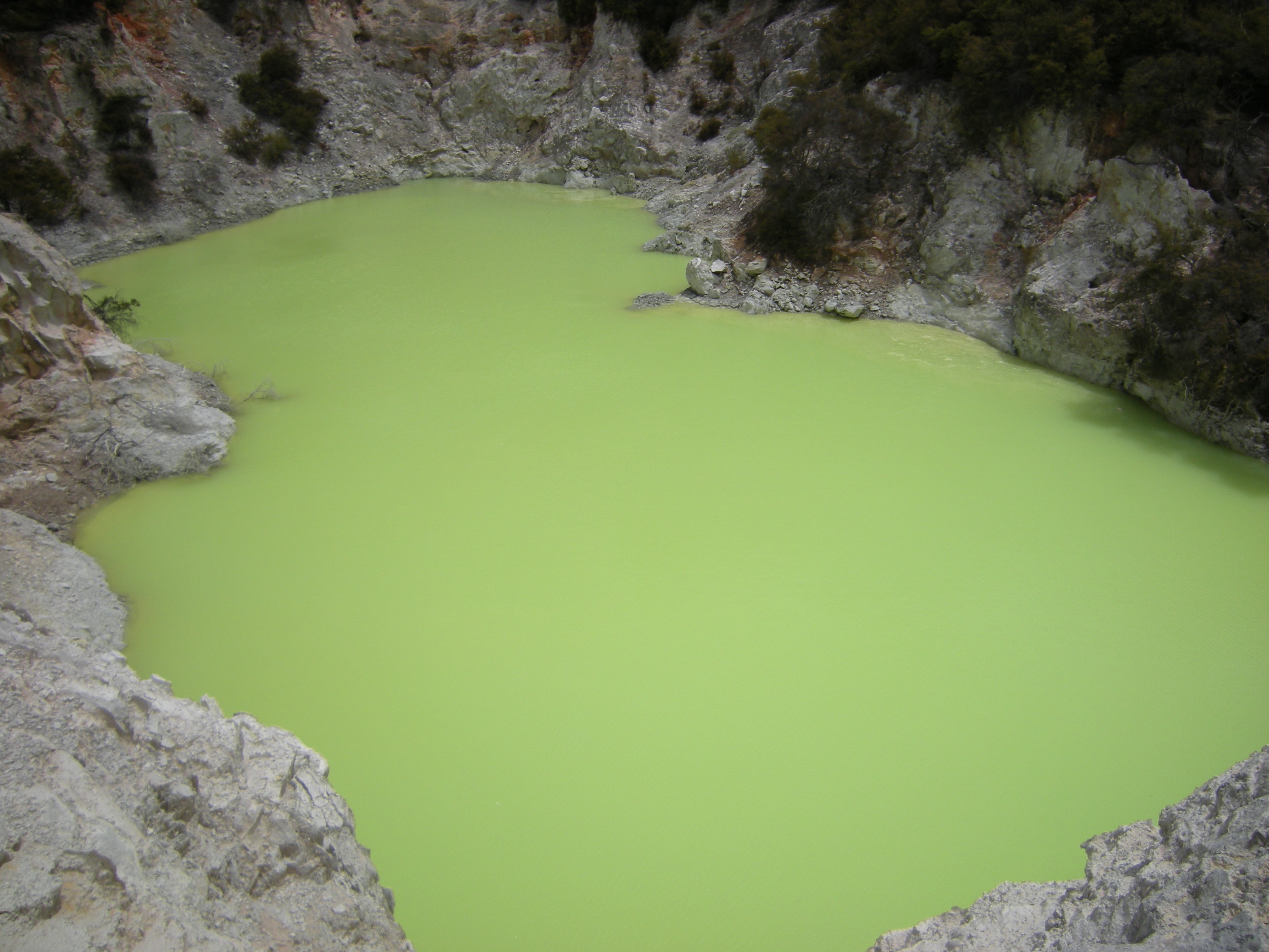 Couleurs des eaux sacrées du parc Wai-O-Tapu à Rotorua : le vert - arsenic. 